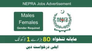 NEPRA Jobs 2024 Pakistan Latest Advertisement