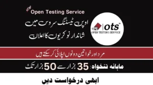 OTS Jobs 2024 Open Testing Services