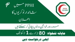 PPHI Sindh Jobs 2024