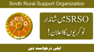 SRSO Jobs 2024 Sindh