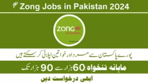 Zong Jobs 2024 Career Advertisement | www.zong.com.pk